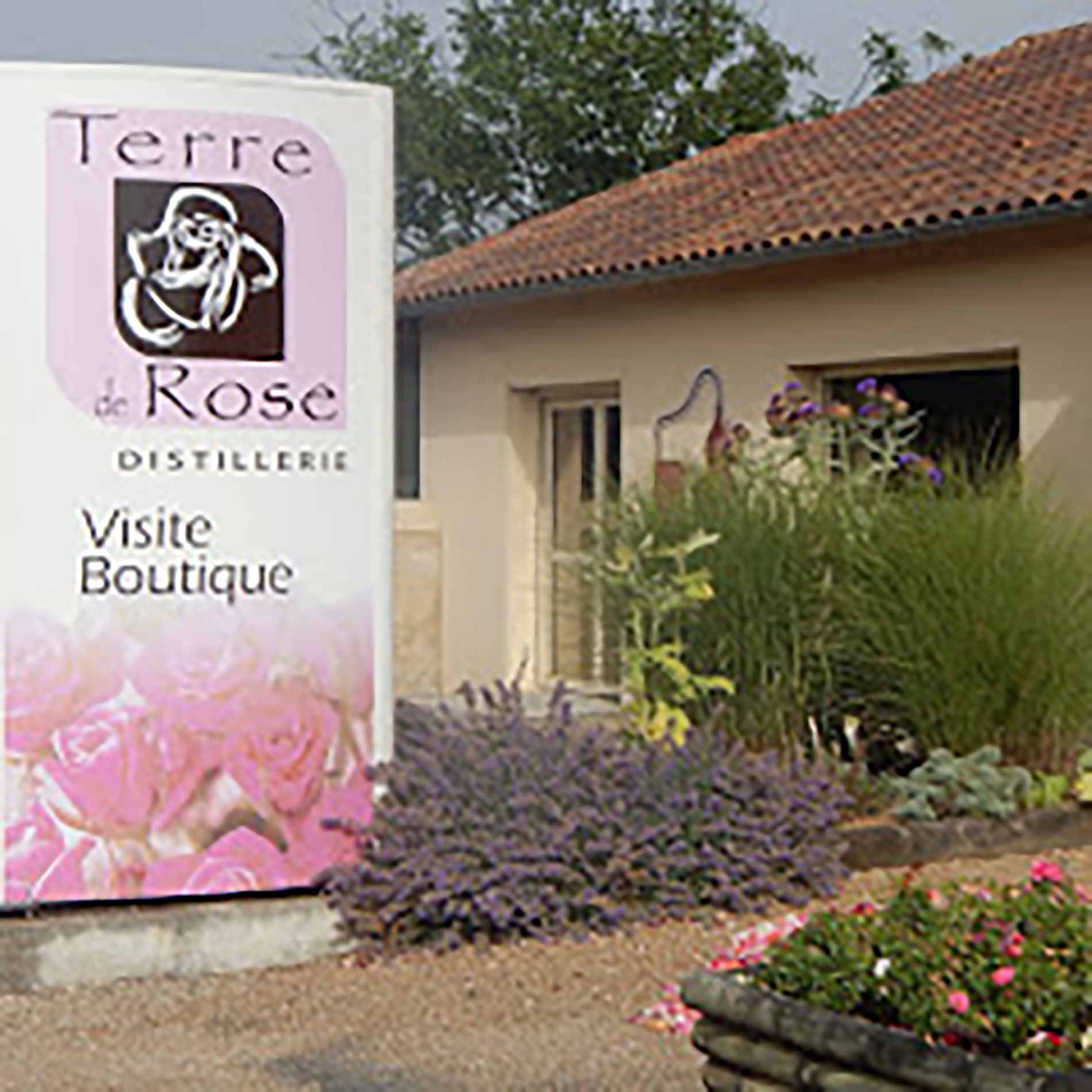 Entrée de la boutique Terre de Rose