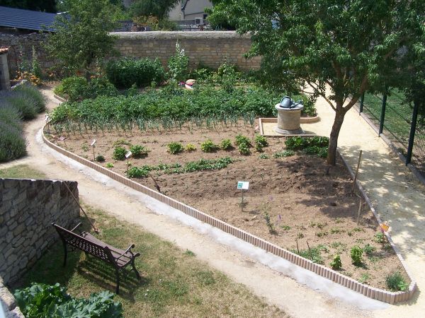 the vegetable garden : Old-fashioned vegetable garden of a farm of Antan in Anjou